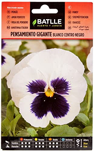 Semillas Batlle Pensiero Bianco Ctro.Nero