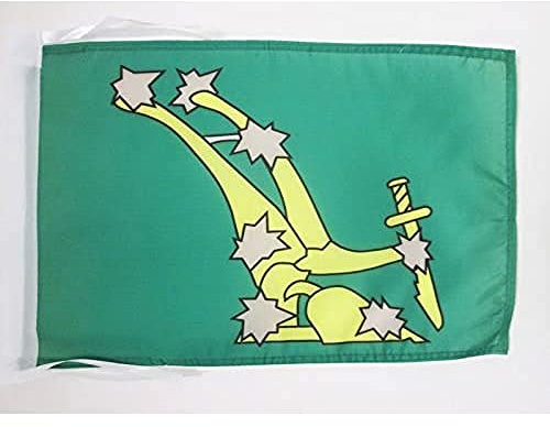 AZ FLAG Bandera Irlanda Starry Plough 45x30 cm Poliéster 100D Cuerdas | Uso interior y exterior Enseña del alzamiento de pascua Starry Plough of Ireland costuras dobles y bordes reforzados