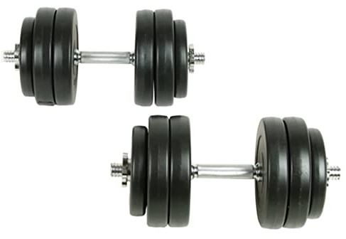 vidaXL 2x Hantel 30 kg Gewichte Kurzhanteln Hantelset Hanteln Hantelscheiben