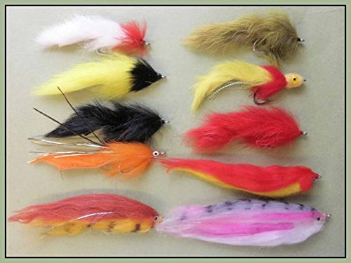 Hechtangeln, 10 gemischte Hechtfliegen, Größen 1/0 & 2/0 starke Haken,