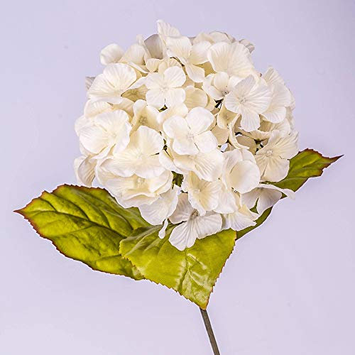 artplants.de Ramo di Ortensia Artificiale, Crema, 70cm, Ø 16cm - Ortensia Decorativa/Ramo Fiorito