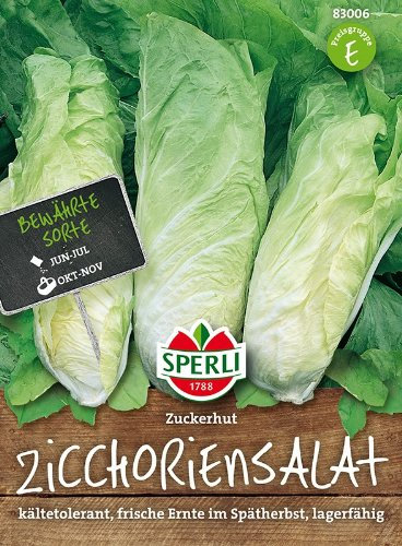 SPERLI Saatgut, Zichoriensalat Zuckerhut