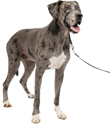PetSafe mjuk guide halsband med tränings-DVD