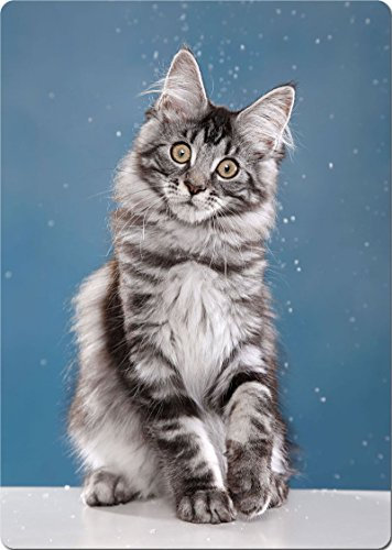 +++ MAINE COON Katze - SCHNEIDEBRETT Dekoteller Glasbrett Dekoglas Weihnachtsteller - MAC 02