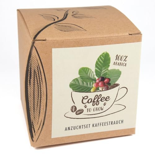 Geschenk-Anzuchtset Coffee-to-grow, Kaffeestrauch aus Eigenanbau, Inklusive Kokostopf und Anleitung