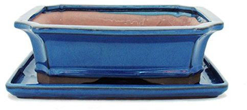 exotenherz - Bol à bonsaï avec soucoupe taille 4 - Bleu - carré - Modèle G4 - L 26 cm - l 20 cm - H 8 cm