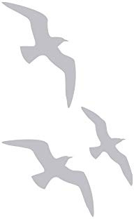 GRAZDesign Fenstertattoo Möwen maritim, Vogelschutz Folie, Fensteraufkleber für Badezimmer, Glastattoo für Dusche / 65x40cm