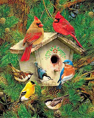 Springbok 33–27 010,4 cm Retreat à Plumes Puzzle