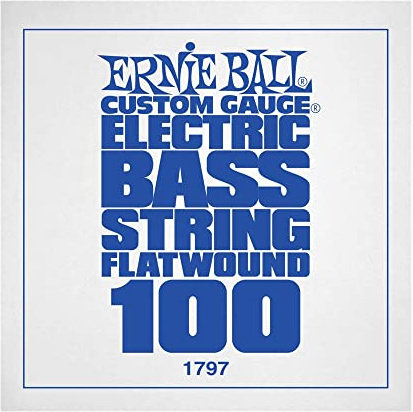 Ernie Ball 1797 Flatwound .100 Saite für E-Bassgitarre