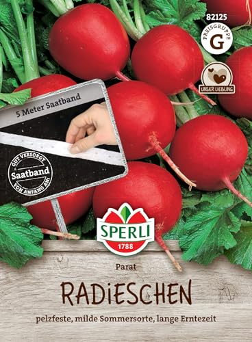 Sperli Radieschensamen Parat 82125, Saatband | Lange Erntezeit, Saatband Radieschen