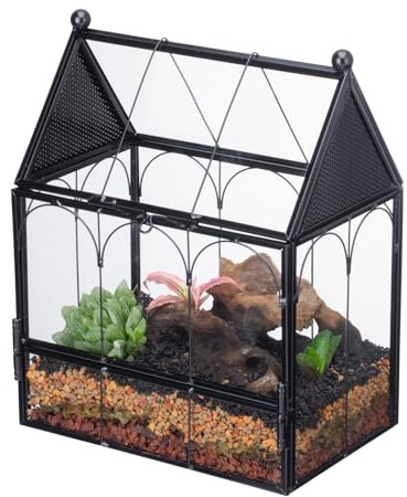 NCYP Litet spindelhölje i glas med nät för hoppande spindlar, sniglar, mikrohusformad insektsmiljö – främre öppning växtterrarium, heminredning svart, 14,7 cm x 9,7 cm (terarie)