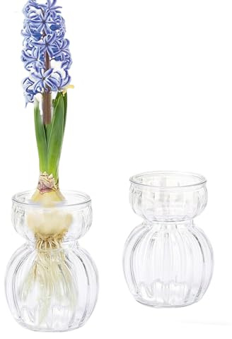 Hyacinth Bulb Vase Avocado Innjoii 2pcs Small Clear Glass for Centrepiece Table Decoration Bud Vases Propagation Station for Plant Lovers Home Decor Floral Wedding Living Room Holidays, 12.3cm(H)