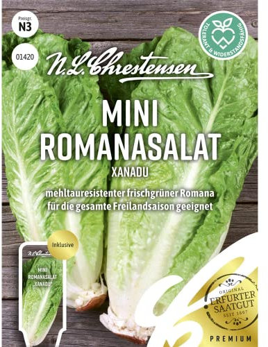 Mini Romanasalat Xanadu, mehltauresistenter frischgrüner Romana, Samen