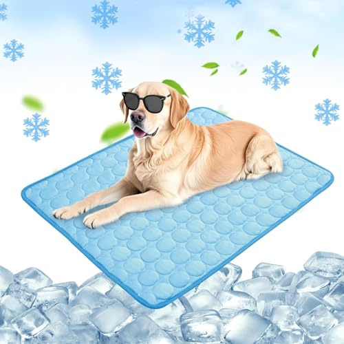 Chumix Kühlmatte Hund 100x70cm, Weichem Stoff Extra für Haustiere