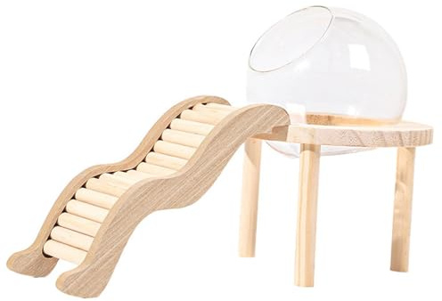 PawwJoy Casa de cristal para hámster con base de madera y escalera, contenedor de baño de arena para cobayas, hámsters, animales pequeños, S