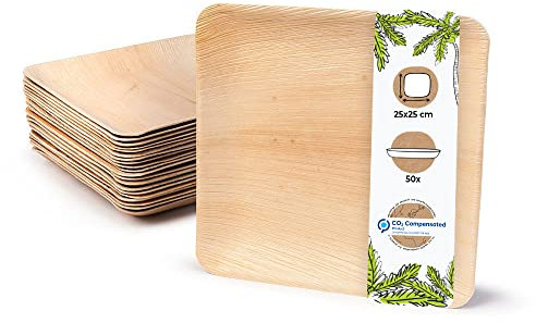 BIOZOYG Einwegteller 50 Stück 25x25 cm Palmblatt-Teller - Einweggeschirr kompostierbar - hochwertige Alternative für Bambus Teller und Pappteller - Partygeschirr