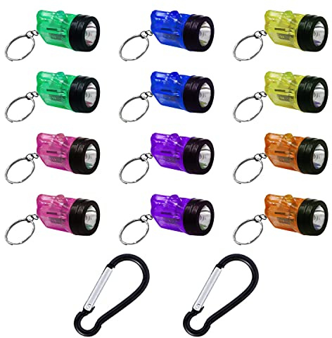 BEIIEB 12 Pcs Mini Flashlight Keychain Torch Mini Lamp Practical Toy for Kids Suitable for Outdoor and Night Emergency with 2 Pcs Black Carabiners