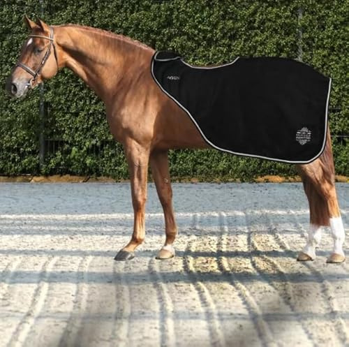 Horses Nierenschutz aus Artemisia-Fleece, weich, bequem und langlebig; verhindert Verletzungen und Verspannungen, hält die richtige Körperfeuchtigkeit aufrecht