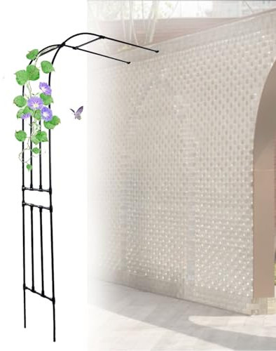 Arche de jardin en métal durable 240 x 240 cm Demi-arche pour roses et vignes