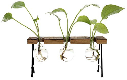 TITA-DONG Hydroponic Plant Vases with Wooden Stand, Plant Glass Container Stand Glass Planter Bulb Vase Metal Rotating Holder Air Plant Planter Office and Home Desktop Decoration