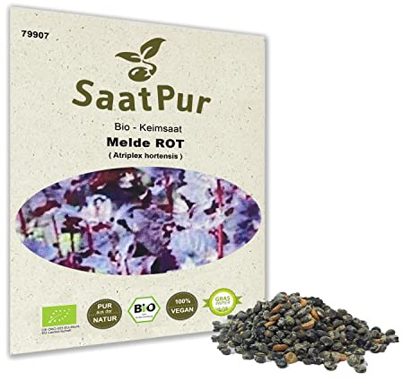 SaatPur® Saatgut Bio-Keimsprossen Melde Rot 5g, hohe Keimkraft, Micro-Greens für vitaminreiche, vegan, Keimsaat Sprossen Samen mikrobiologisch untersucht, nachhaltige Graspapier-Verpackung