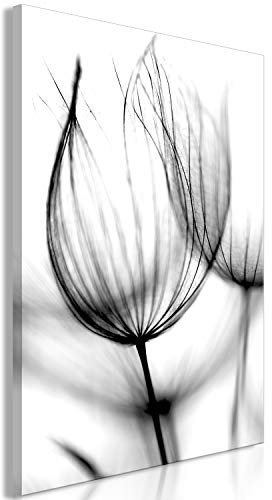 murando - Akustikbild Pusteblumen Bilder Akustikschaum Hochleistungsschallabsorber Schallschutz Leinwand 1 tlg Wandbild Raumakustik Schalldämmung Natur Blume Monochrom grau