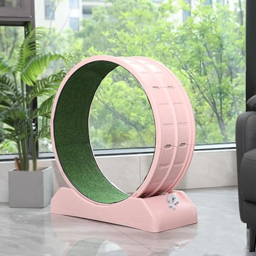 JSLJJBD Katzenlaufrad Großes Laufrad,katzenlaufrad,laufrad Katze Katzen,laufband Für Katzen, Große Rollenverriegelung, Geeignet Für Indoor-Katzen-Fitness-räder 79×33×85cm pink