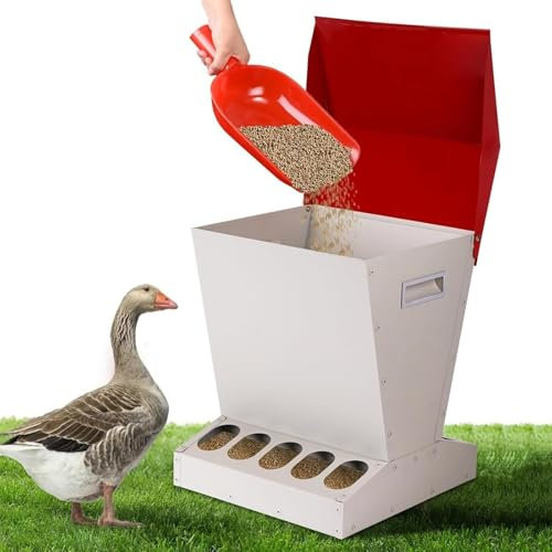 11 Kg Automatischer Hühnerfutterautomat, 10-Loch-Geflügelfutterautomat Für Den Außenbereich Mit Edelstahldeckel, Praktische Fütterung Bei Bedarf Und Keine Verschwendung,für Zwerghühner, Fasane