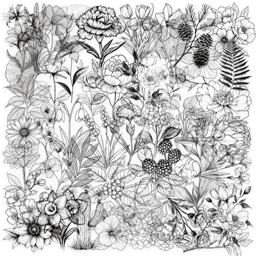 Black and White Plant Scrapbook Stickers 50pcs Transparent PET Botanical Line Art Designs for Journals Laptops Bottles Minimalist Floral Pack for Teens Adults DIY Decoration