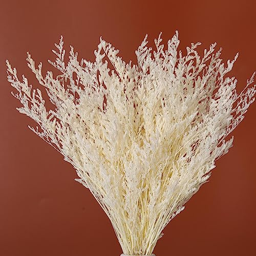 Dried Flowers Bouquet, Dry Caspia Flower Bundle, Floral Lavender, Babys Breath Flowers Arrangements for Wedding Decor, Door Wreath, Home Party Table Vase Decoration (White, 17'')