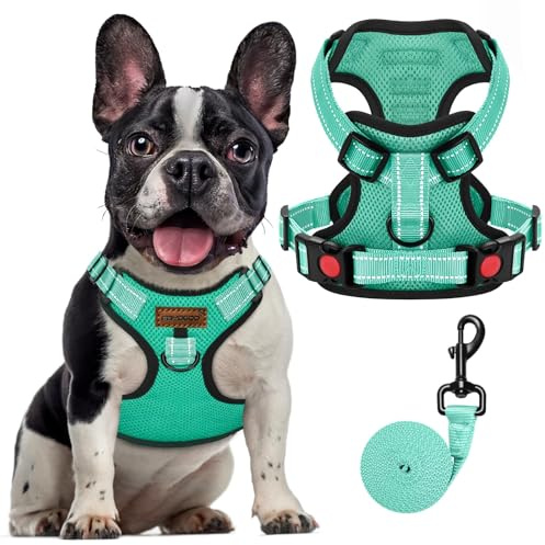 FAYOGOO Klein Frontclip Welpen Hundegeschirr Antizug Reflektierend | No-Pull Trainingsgeschirr mit Leine. Gepolstert, atmungsaktiv, verstellbar. Für Mops, Dackel, Terrier, Yorkshire.