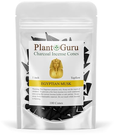 Egyptian Musk Charcoal Incense Cones 1 TOPFLOW - 100 Pack Bulk - Natural Scented Cones Handmade Hand Dipped