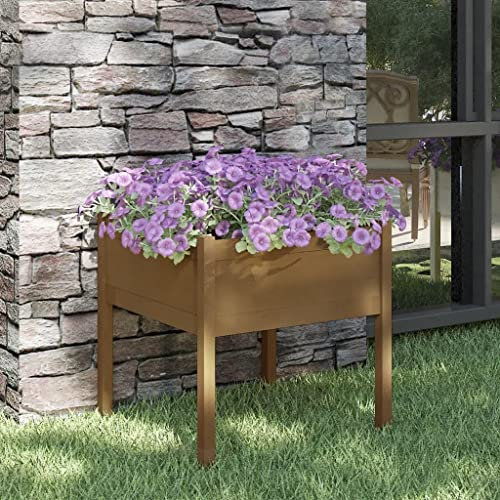 QJBSAVVA Fioriera da Esterno in Legno Massello Pino Grande 70x70x70 cm Marrone Ambra per Giardino Balcone con Spazio Ampio Piante Rialzata
