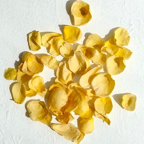 Edible Petals - 200ml - Freeze Dried Yellow Rose - UK Product - CertifiedFood Grade (556)