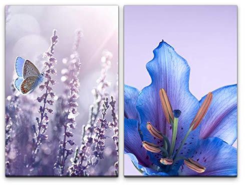 Paul Sinus Art Wandbild 2 teilig je 60x90cm Schmetterling Blüte Blau Sommer Dekorativ Blumen Makrofotografie