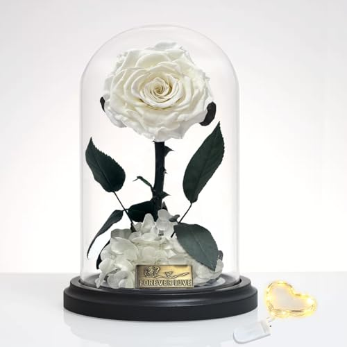 inyeskon Ewige Rose im Glas mit LED, Echte Infinity Rose in Einer Glaskuppel mit Einer Geschenkbox Geschenke Konservierte Blumen für Frauen Mama Oma Freundin Muttertag Valentinstag Weihnachten (Weiß)