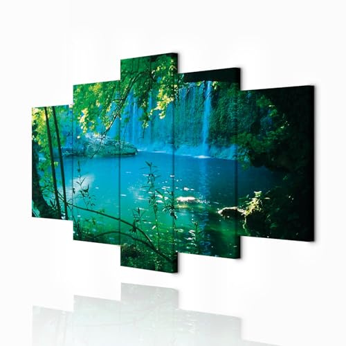decomonkey Bilder Wasserfall 200x100 cm XXL 5 Teilig Leinwandbilder Bild auf Leinwand Wandbild Kunstdruck Wanddeko Wand Wohnzimmer Wanddekoration Deko Natur Wald