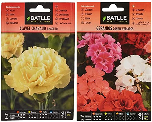 Clavel Chabaud AMARILLO & Geranios ZONALE Variados