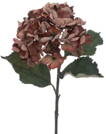 FloristryWarehouse ECO Sustainably Produced Faux Silk Hydrangea Stem 60cm/24 Inches Tall Brown