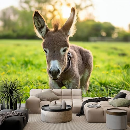 Tapete Fototapete 3d Effekt Tiere Esel Gras 200x140cm Wandbild Wanddeko für Wohnzimmer Schlafzimmer, GrüN Vlies Tapeten mit Geruchsfreiheit Wandposter Wandkunst