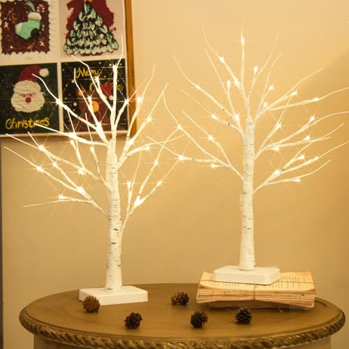 DELICHTER 2er Set Lichterbaum mit 24 Warmweißen LEDs Birken Bäumchen mit Timer-Funktion Dekozweige Batteriebetrieb Weihnachtsdeko für Zuhause Party Weihnachten Ostern Hochzeit 55cm
