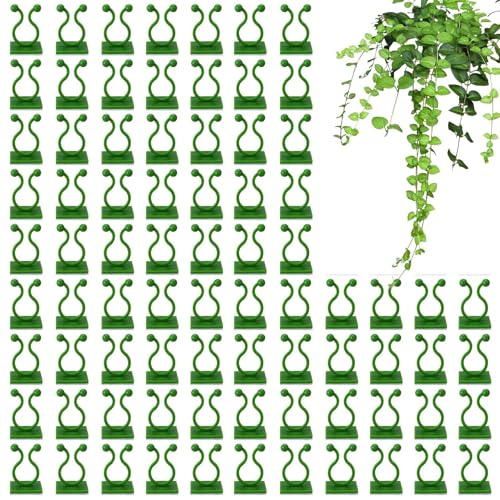 Pothos - Lot de 100 Pinces murales pour grimpantes - pour grimpantes - pour de Jardin et légumes - Pinces adhésives sécurisées - pour vignes murales en intérieur et en