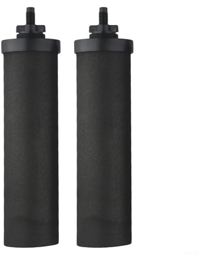 CNANRNANC Lot de 2 filtres de purification d'eau avec filtre à charbon actif haute performance en coquille de noix de coco pour la maison