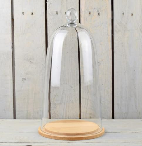 EMH Campana de cristal soplado grande con base natural, 38 x 19 cm