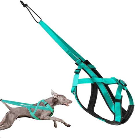 baabeash Zuggeschirr für Hunde, reflektierendes Laufgeschirr – bequemer, Verstellbarer Gurt für Spaziergänge, Sport, Training, Schlitten, Ziehen im Freien