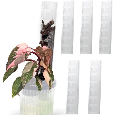 Thiccl, Kunststoff-Moosstäbe für Kletterpflanzen, Version 3, mittel, 5 Stück, vordere Öffnung, stapelbar, Monstera-Pflanzenstütze, Kletterhilfe für Pflanzen, Moosstab zur Selbstgestaltung,