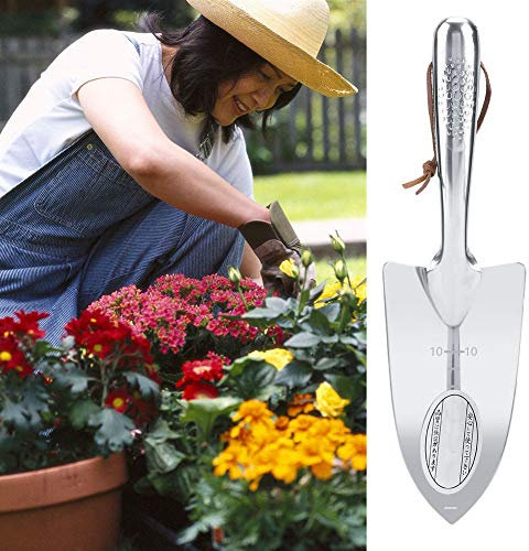Stainless Steel Portable Small Survival Shovel, High Strength, Wear Resistant, for Fishing, Camping, Hiking, Gardening