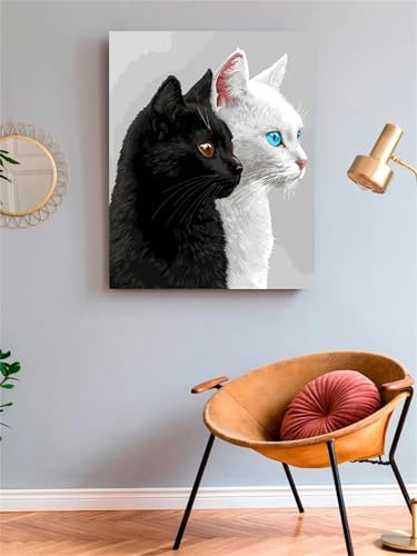 Jinmer Schwarz-weiße Katzen Malen Nach Zahlen Erwachsene,40x50 cm DIY Handgemalt Ölgemälde Kit für Anfänger,mit Pinseln Leinwand Acrylfarben Set für Haus Wand Deko,ohne Rahmen