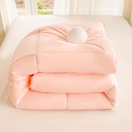MTHGH Trapunta Invernale in Fibra di Soia, Piumone Invernale Spesso, Coperta Molto Calda E Super Morbida per 2 Persone, Trapunta in Microfibra, Piumone Trapuntato Reversibile(A,180x220cm/5kg)