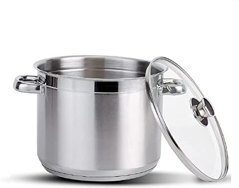 Stainless Steel Stock Pot with Vented Glass Lids- Deep Two Tone Silver Pot, Induction Base (24 cm Diameter - 8.0 Litre)